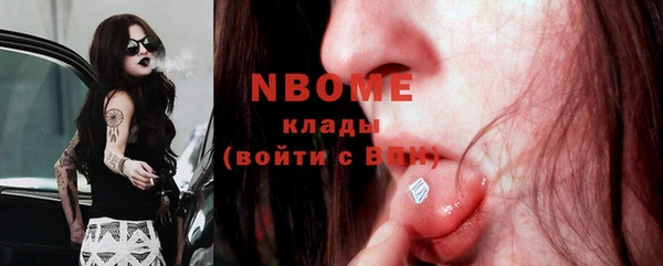шишки Балахна