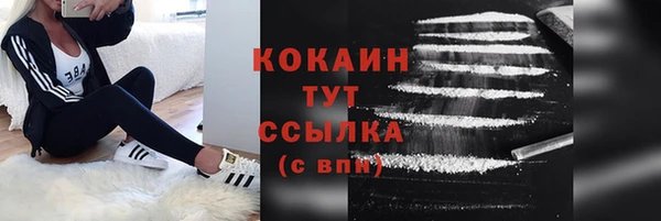 шишки Балахна