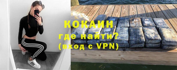 шишки Балахна