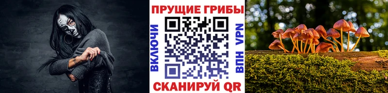 Псилоцибиновые грибы ЛСД Плёс
