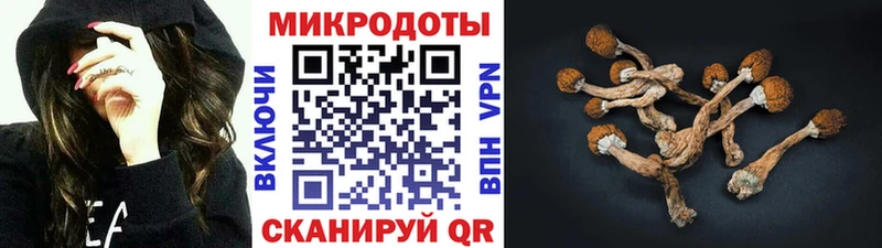 Псилоцибиновые грибы прущие грибы  Плёс 